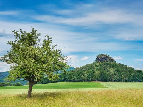 Hügelige Landschaft mit Wald, Feld und Zirkelstein im Hintergrund bei klarem Himmel.