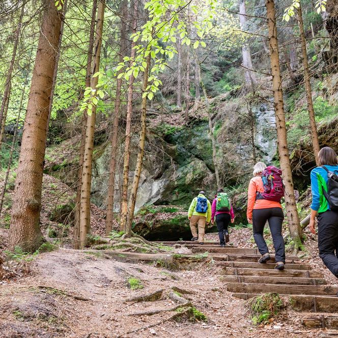 Wanderer gehen über Holzstufen durch das Elbsandsteingebirge