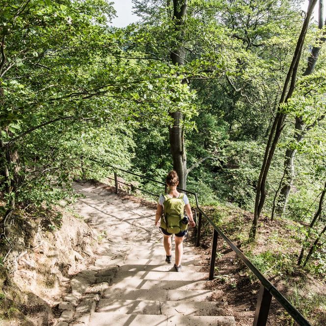 Wanderer auf einem steinigen Weg, umgeben von Bäumen und grünem Laub.