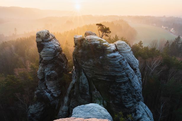 Winterliche Landschaft bei Sonnenaufgang mit schneebedeckten Bäumen und Felsen.