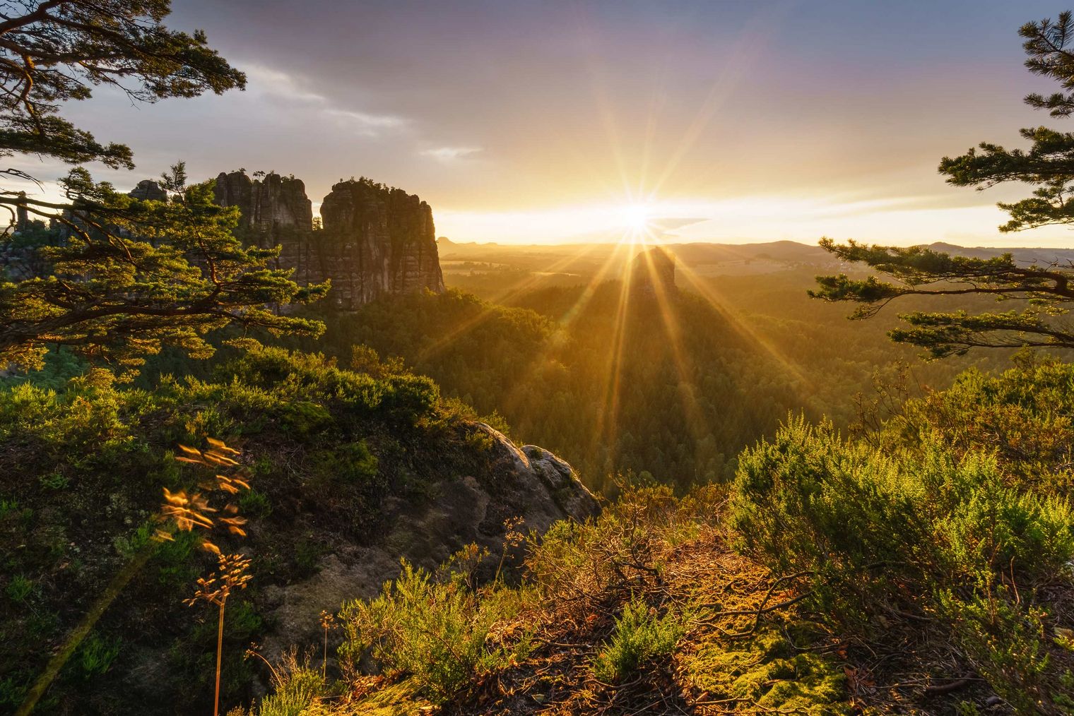 Sonnenaufgang über einer bewaldeten Landschaft mit Felsen im Hintergrund und strahlendem Licht.
