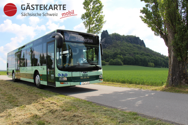 Wanderbus am Lilienstein