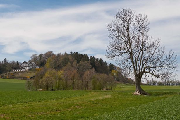 Blick auf den Wolfsberg