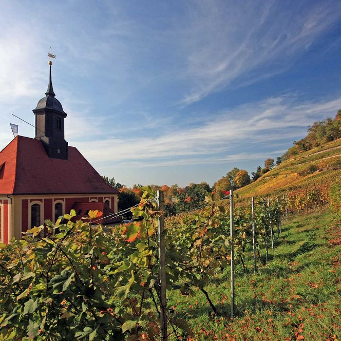Kleine Kirche mit rotem Dach, umgeben von Weinbergen und buntem Herbstlaub.