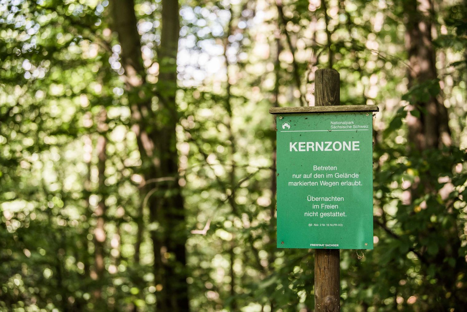 Waldschild mit der Aufschrift "Kernzone" und Informationen zu Naturschutz.