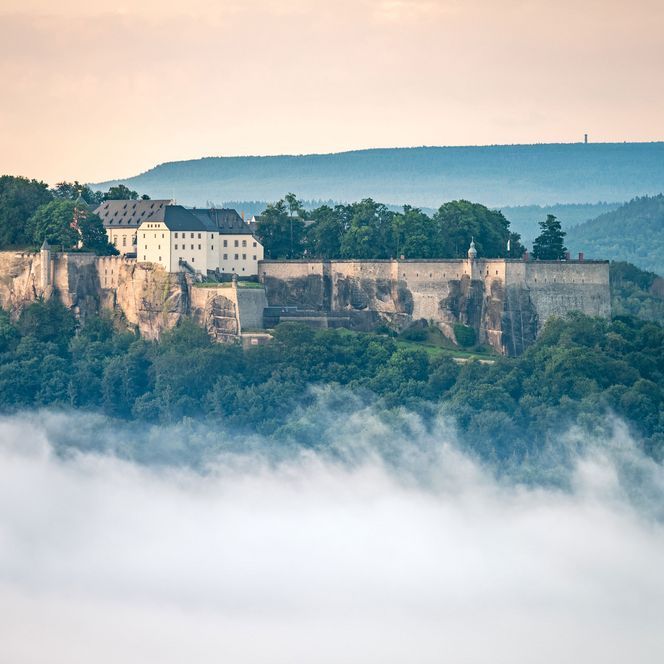 Festung Königstein auf einem Hügel, umgeben von Nebel und Bäumen, mit sanften Hügeln im Hintergrund.