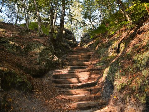 Weg zum Gohrischstein, Wanderweg im Wald, Sonne scheint durch die Bäume, Sommerliche Naturstimmung.