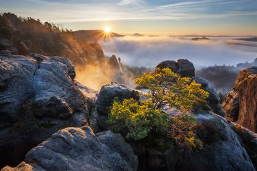 Sonnenaufgang über nebligen Bergen, mit Felsen und grünen Pflanzen im Vordergrund.