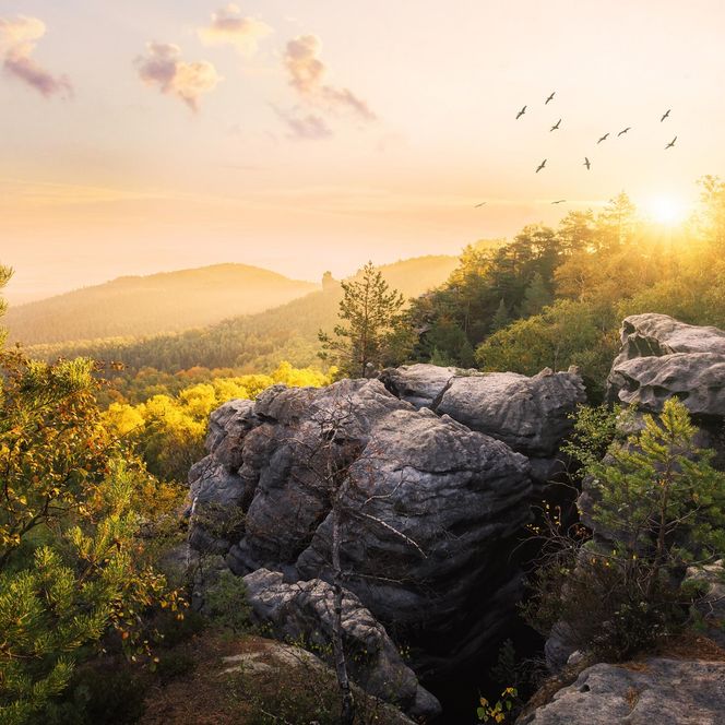 Sonnenaufgang über einer bewaldeten Landschaft mit Felsen im Vordergrund.