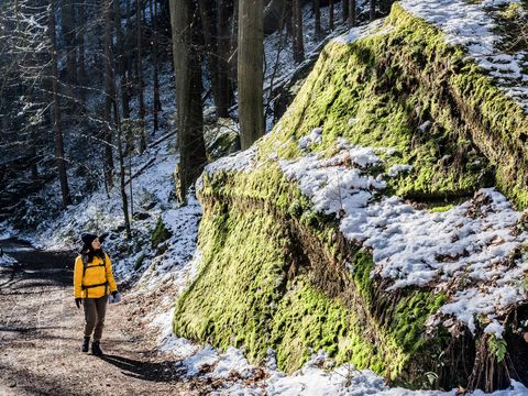 Wanderweg im Winter im Polenztal mit Moss an Felsen und einer Wanderin