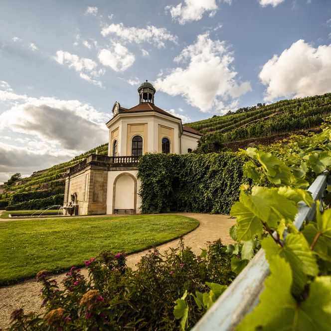 Weinberg mit einer kleinen, eleganten Kapelle im Hintergrund, umgeben von grünen Reben und blauem Himmel.