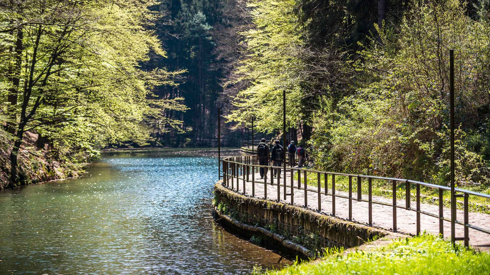 Amselsee in Kurort Rathen