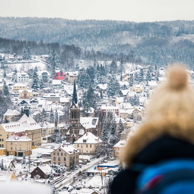 Person mit einer Fellmütze blickt auf eine verschneite Stadtlandschaft.