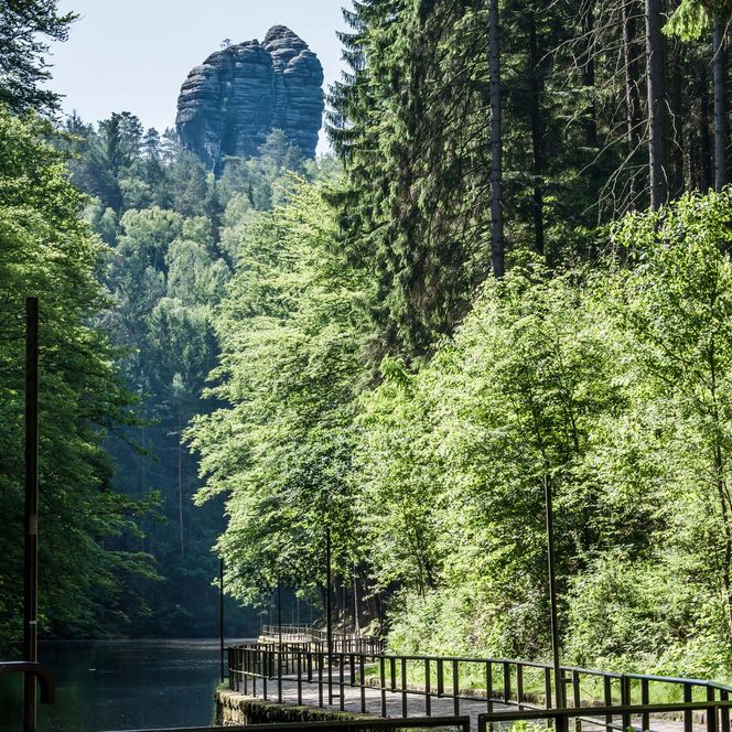 Grüne Bäume am Ufer des ruhigen Amselsees, im Hintergrund ein markanter Felsen.