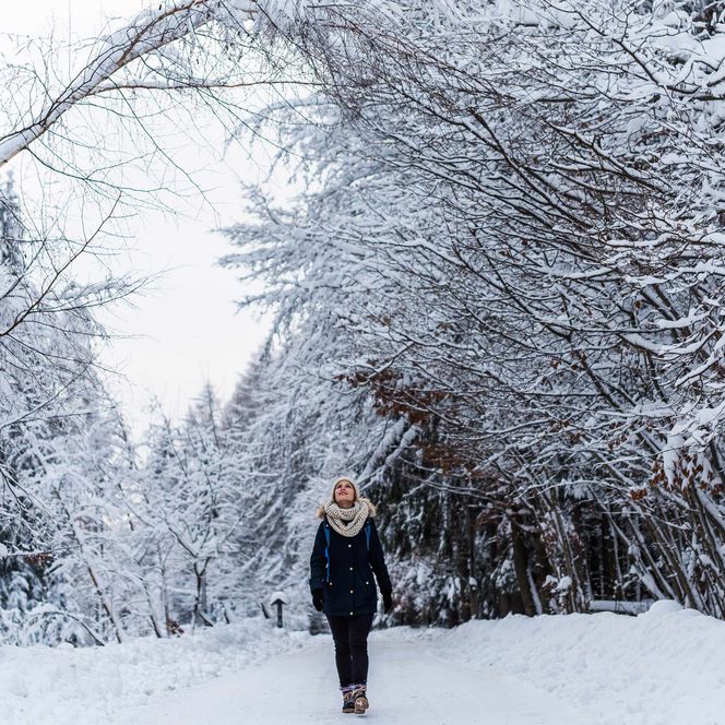 Person in dunkler Kleidung geht auf einem verschneiten Weg, umgeben von schneebedeckten Bäumen.