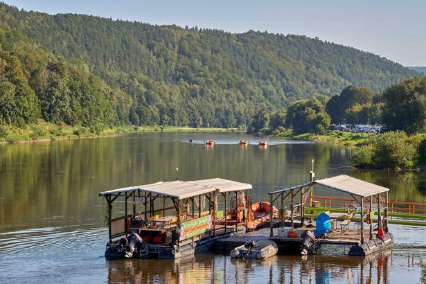 Floß an Anlegestelle auf der Elbe, im Hintergrund grüner Wald.