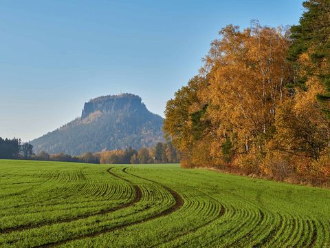 Herbstlandschaft mit Wanderweg, Bäumen in bunten Blättern und Felsen.