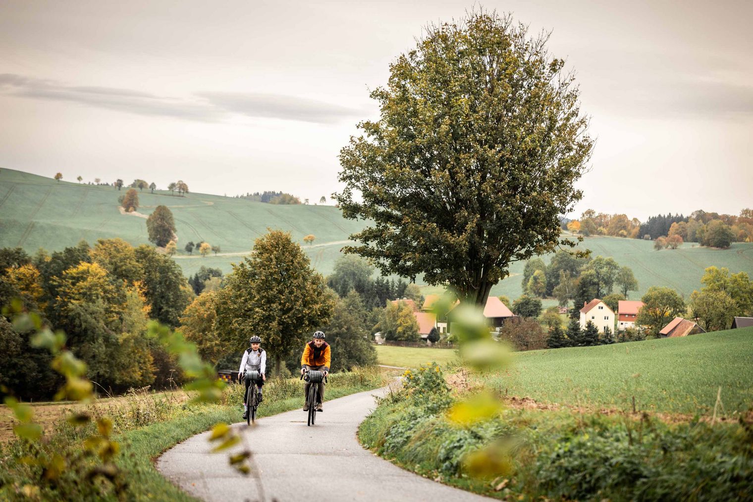 Zwei Radfahrer auf einem Weg durch eine grüne Landschaft mit Bäumen und Hügeln.