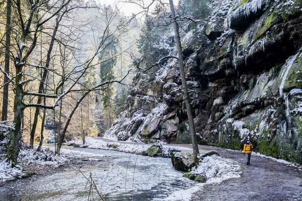 Wanderweg im Polenztal im Winter mit Wanderin