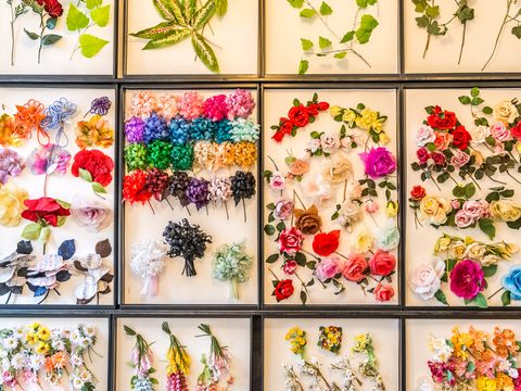 Seidenblumenmanufaktur Sebnitz: Ausstellung von verschiedenen, bunten Kunstblumen an einer Wand.