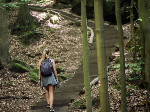 Malerweg Aufstieg nach Waitzdorf