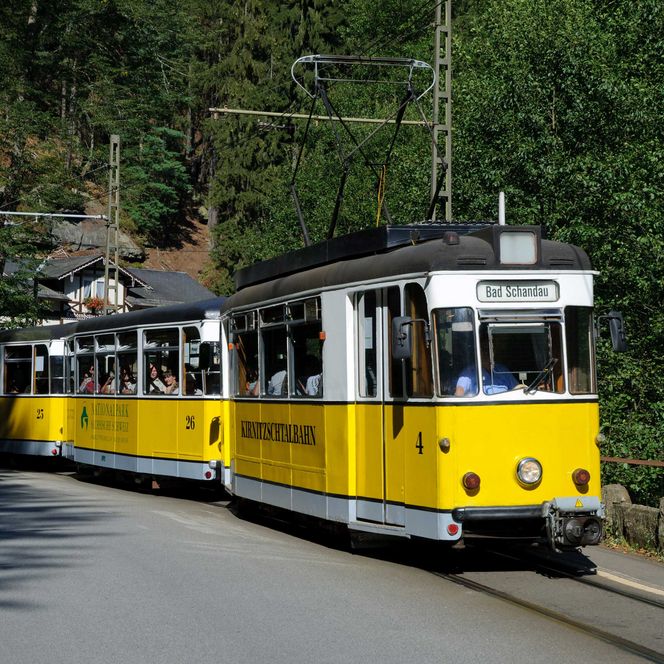 Gelbe historische Straßenbahn fährt auf Schienen durch grünen Wald.