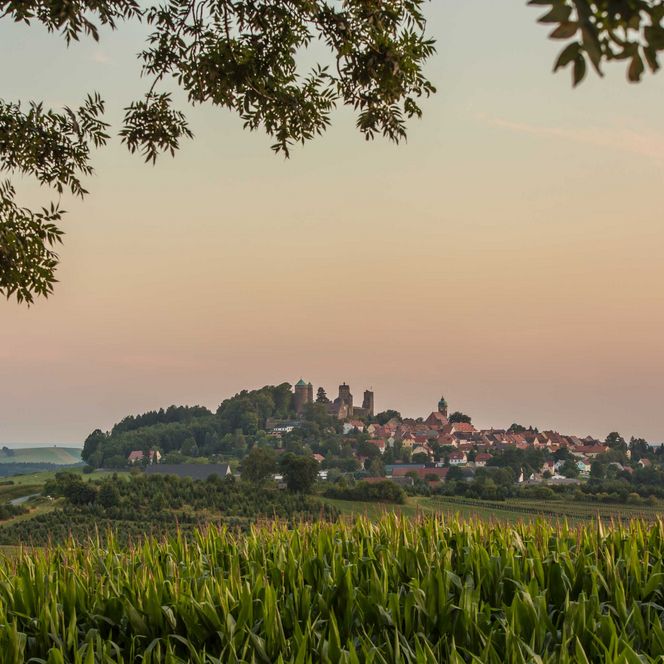 Landschaft mit sanften Hügeln, Kornfeld im Vordergrund und einem sanften Sonnenuntergang im Hintergrund.