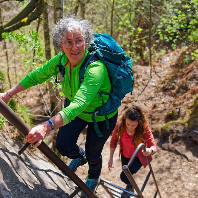 Zwei Wanderer mit Rucksack kraxeln eine steile Treppe in der Natur hinauf, umgeben von Bäumen und Pflanzen.