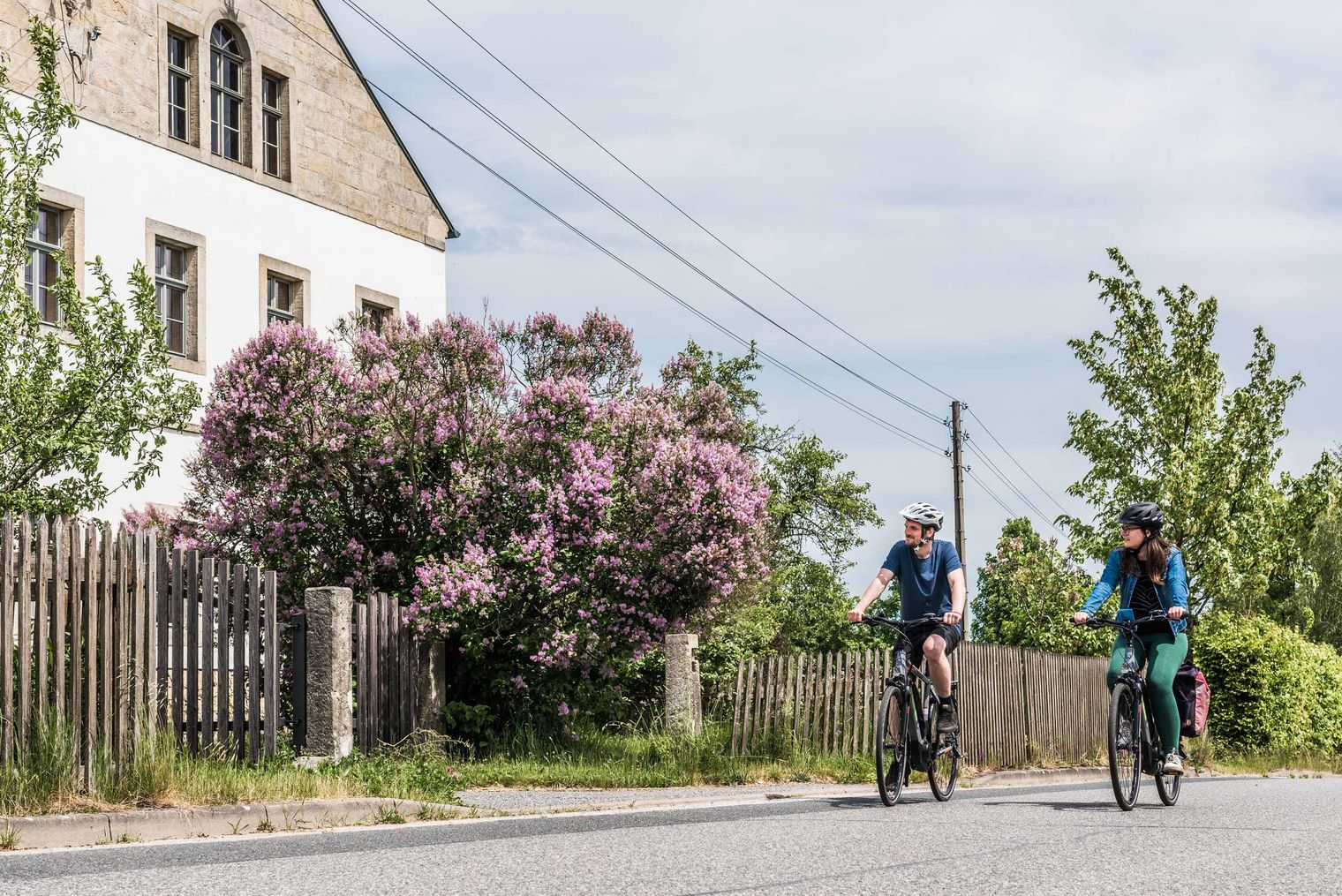 Zwei Radfahrer fahren auf einer Straße neben einem blühenden Baum und einem weißen Haus.