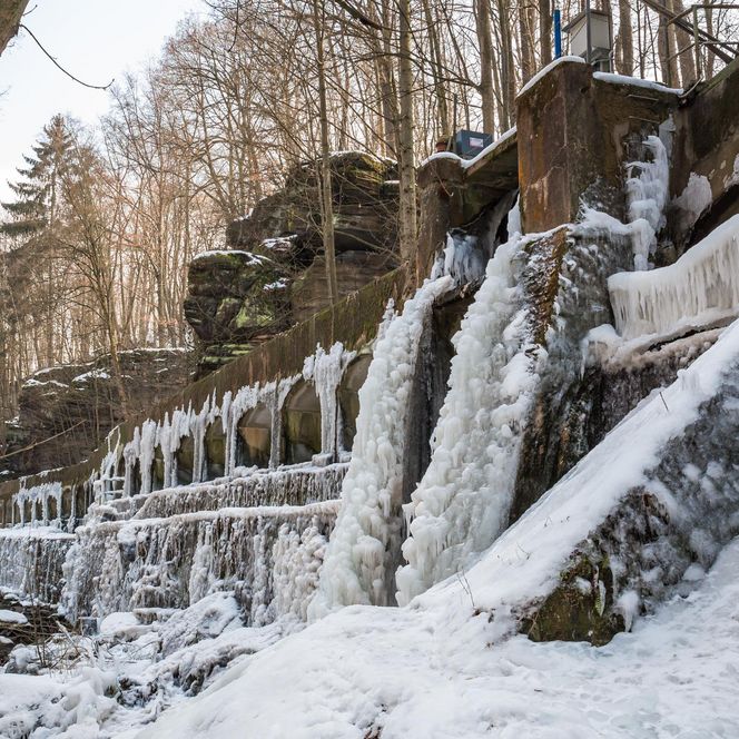 Eisige Wasserfälle fließen über Felsen, umgeben von schneebedeckten Bäumen.