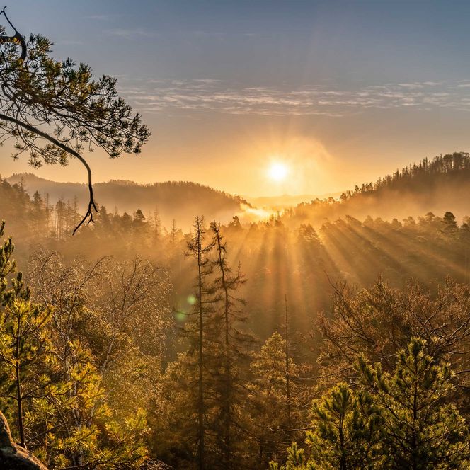 Sonnenaufgang am Arnstein über bewaldeten Hügeln, Lichtstrahlen durch den Nebel, sanfte Landschaft.