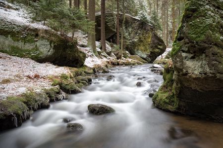 Ein ruhiger Fluss fließt zwischen moosbedeckten Felsen und Bäumen in einem Wald.
