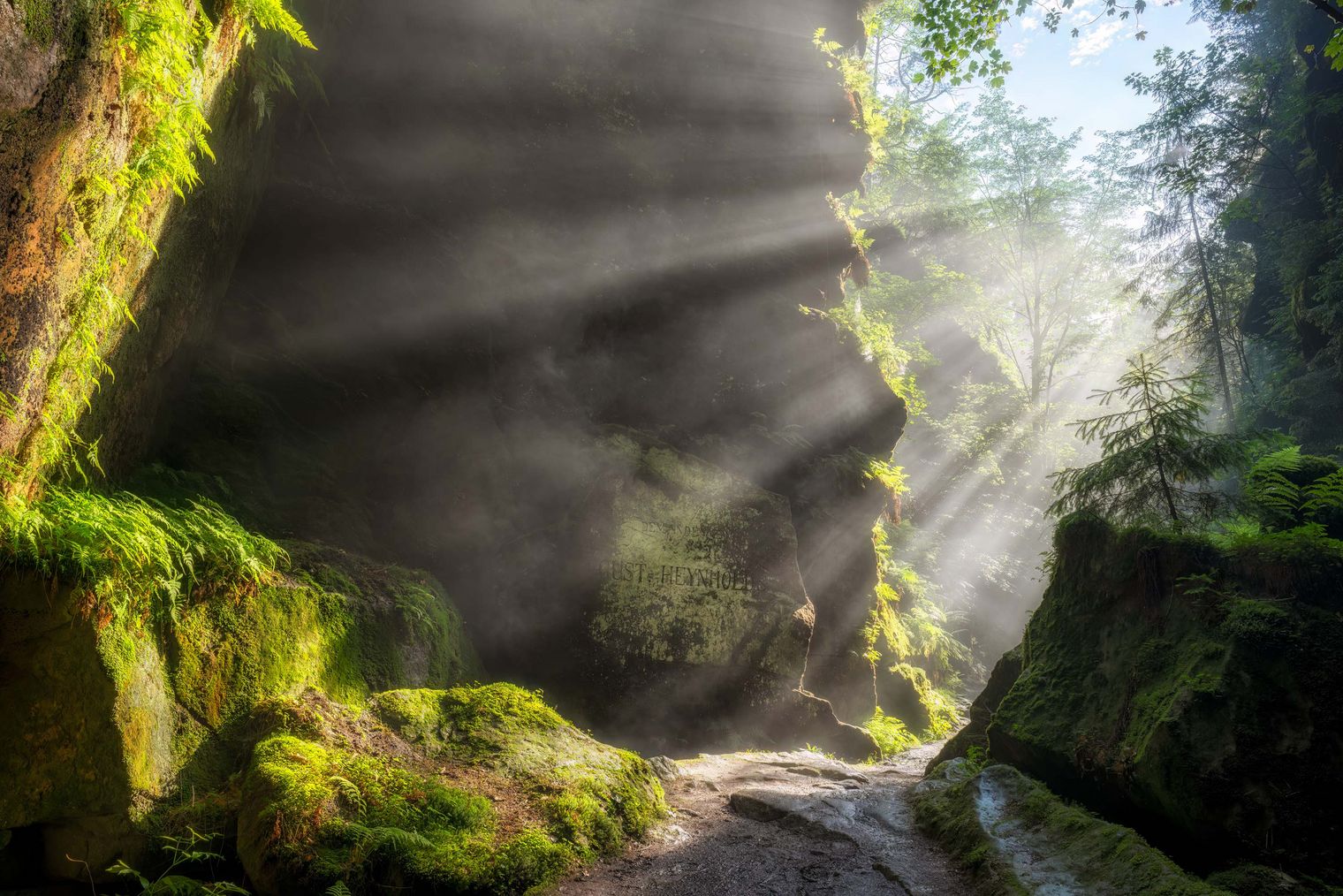 Sonnenstrahlen fallen durch eine enge Schlucht, umgeben von moosbedeckten Felsen und grüner Vegetation.