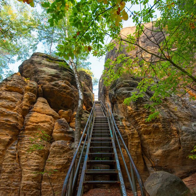 Stahltreppe zwischen hohen Felsen und Bäumen, Blick nach oben.