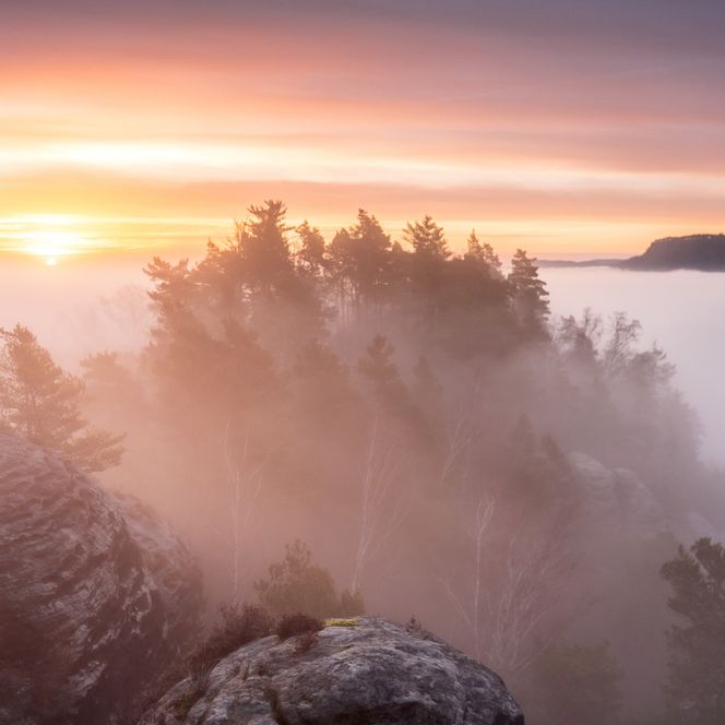 Rauenstein im Nebel
