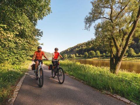 Zwei Radfahrer auf Elberadweg, umgeben von Bäumen, Wald und Felsformationen, nahe Schmilka.