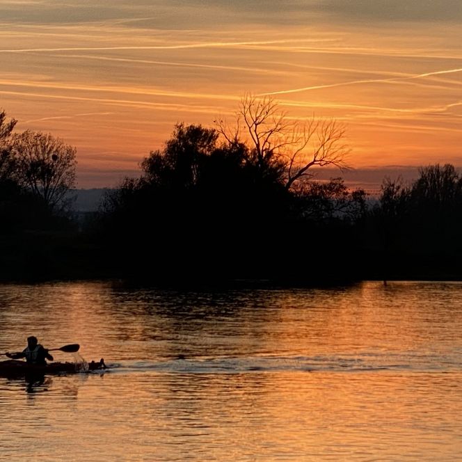 Ruderer auf einem ruhigen Gewässer bei Sonnenuntergang, orangefarbener Himmel und Silhouetten von Bäumen.