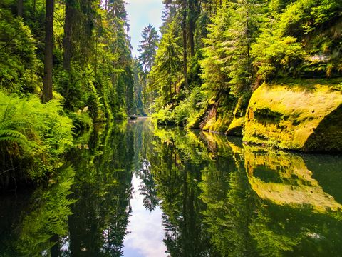 obere Schleuse der Kirnitzschtalklamm