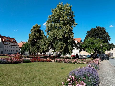 Historischer Marktplatz in Dohna mit Häusern und Bäumen bei klarem Himmel.