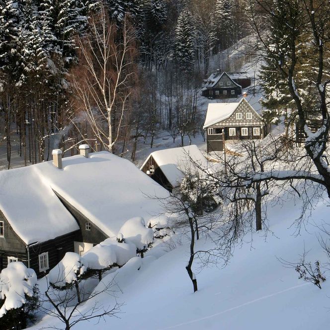 Schneebedeckte Hütten in einem Waldgebiet, umgeben von Bäumen und winterlicher Landschaft.