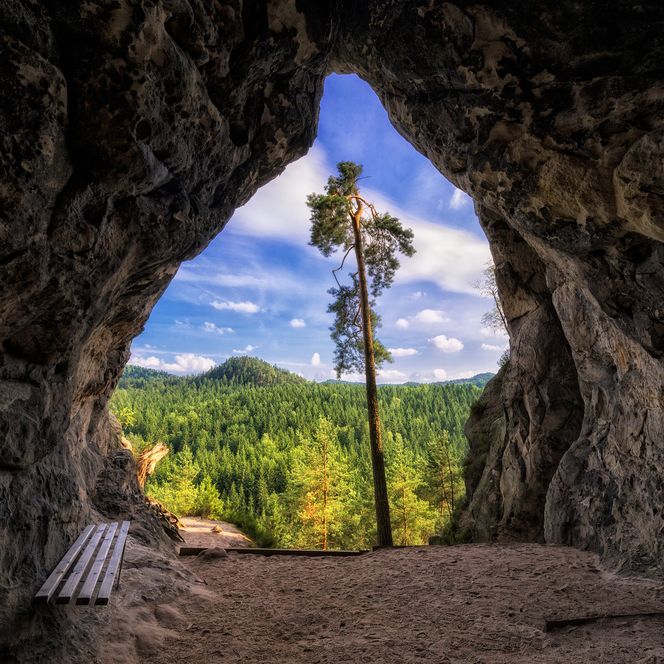 Blick aus der Kleinsteinhöhle auf einen Baum und eine bewaldete Landschaft unter blauem Himmel.