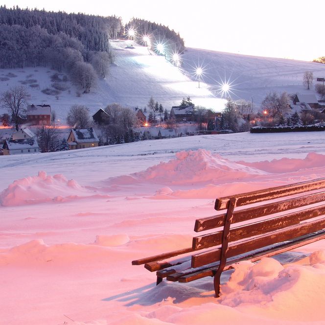 Schneebedecktes Haus umgeben von Bäumen, blauer Himmel im Hintergrund.