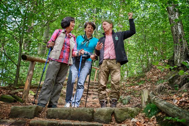 Wandern mit Wanderstöcken