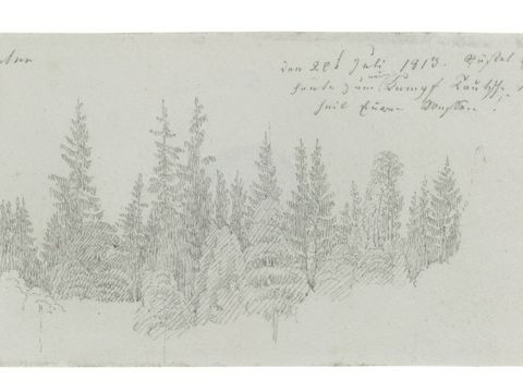 Zeichnung von Caspar David Friedrich, mehrere Nadelbäume.