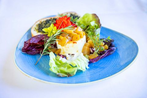 Buntes Gericht auf blauem Teller mit Salat, Gemüse und einer Portion Reis oder Quinoa.