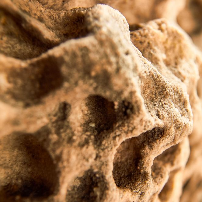 Nahaufnahme eines Sandsteins mit einer strukturierten, rauen Oberfläche mit unregelmäßigen Vertiefungen und Erhebungen.
