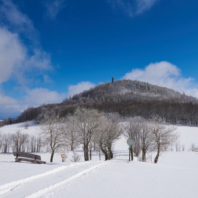 Schneebedeckte Landschaft mit einem Hügel im Hintergrund und vereinzelten Bäumen unter blauem Himmel.
