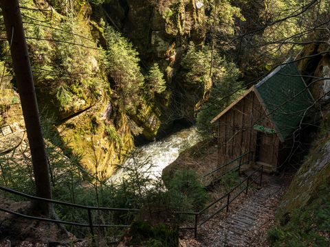 Obere Schleuse von Hinterhermsdorf in grünen dichten Wald, rechts eine kleine Holzhütte