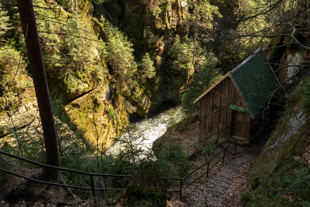 Obere Schleuse von Hinterhermsdorf in grünen dichten Wald, rechts eine kleine Holzhütte