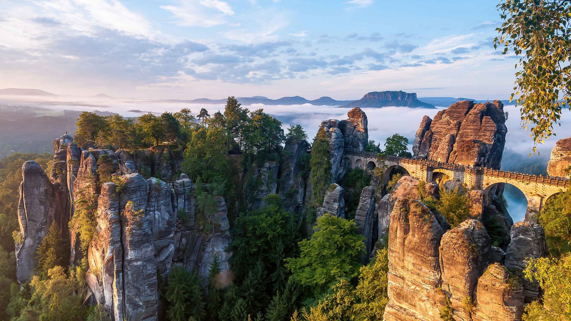 Felsformationen der Bastei, bewaldete Schlucht, Nebel im Tal, sommernliche Stimmung.